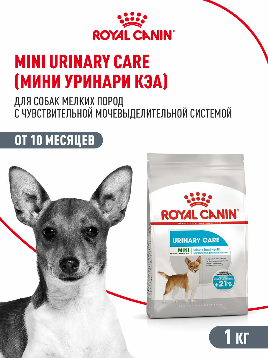 Сухой корм для собак мелких пород Royal Сanin Mini Urinary Care для чувствительной мочевыделительной системы, 1 кг — фото 1