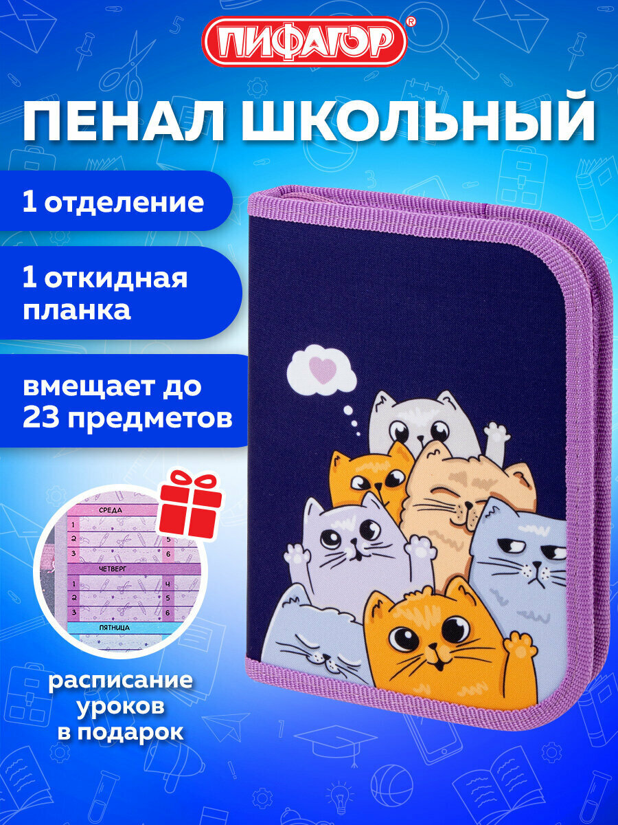 Пенал школьный для девочек для карандашей и ручек с 1 отделением канцелярия для школы 1 откидная планка полиэстер 19х13 см Пифагор Cats 272291