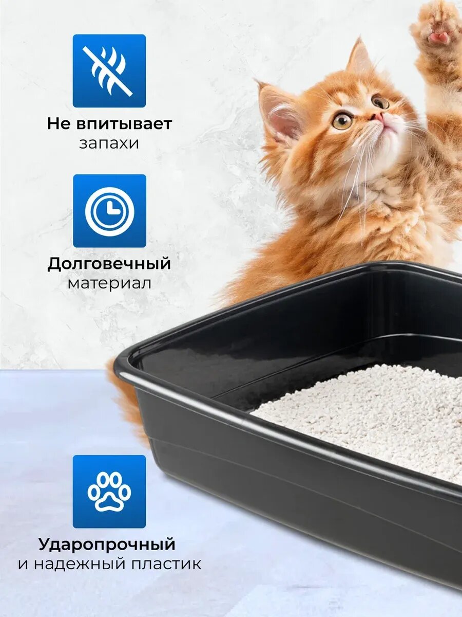 Лоток для мейн куна большой XXL, огромный туалет для кошек — фото 1