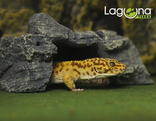 Изображение товара Укрытие для рептилий "Тропики" S, серое, 19,2*10,5*7,7см, Laguna TERRA