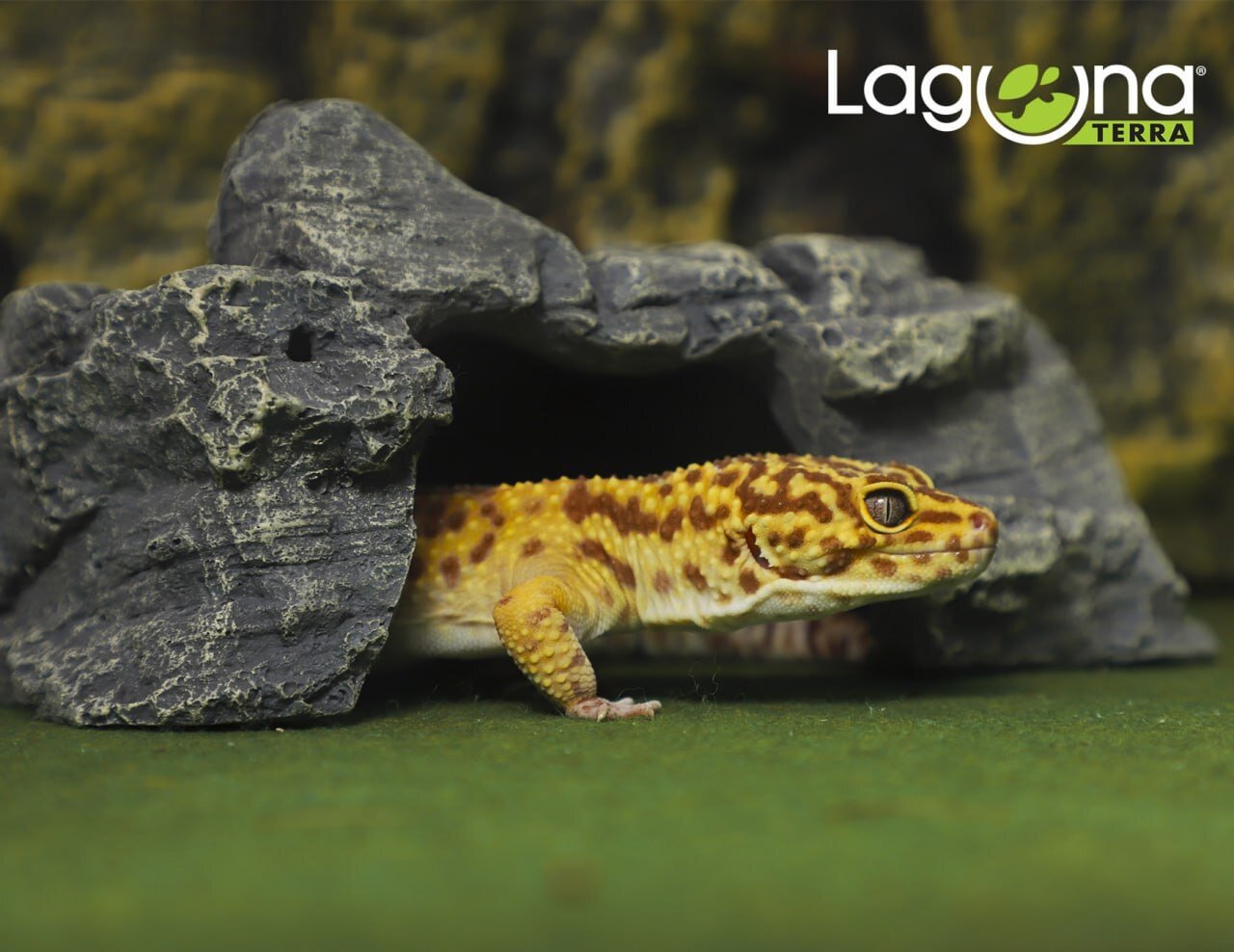 Укрытие для рептилий "Тропики" S серое 192*105*77см Laguna TERRA