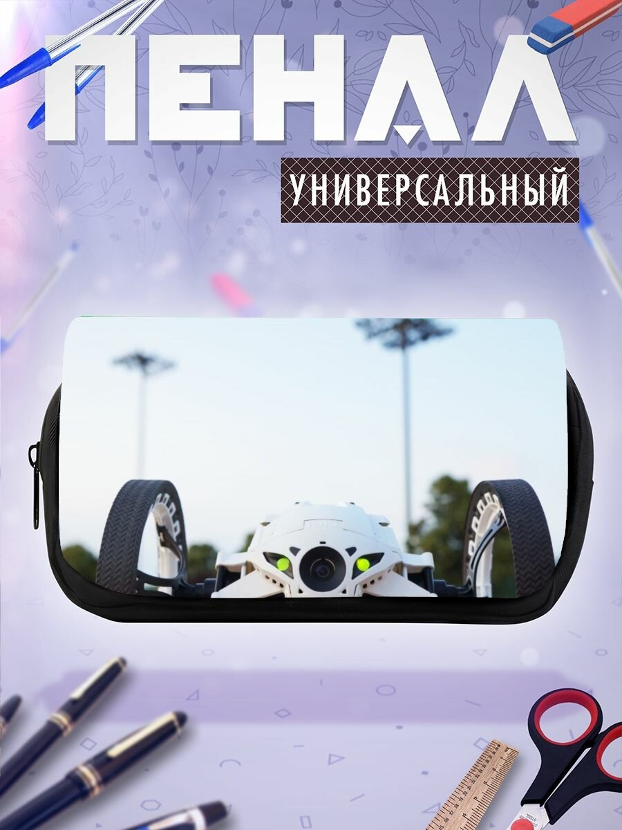 Школьный пенал попугай авто