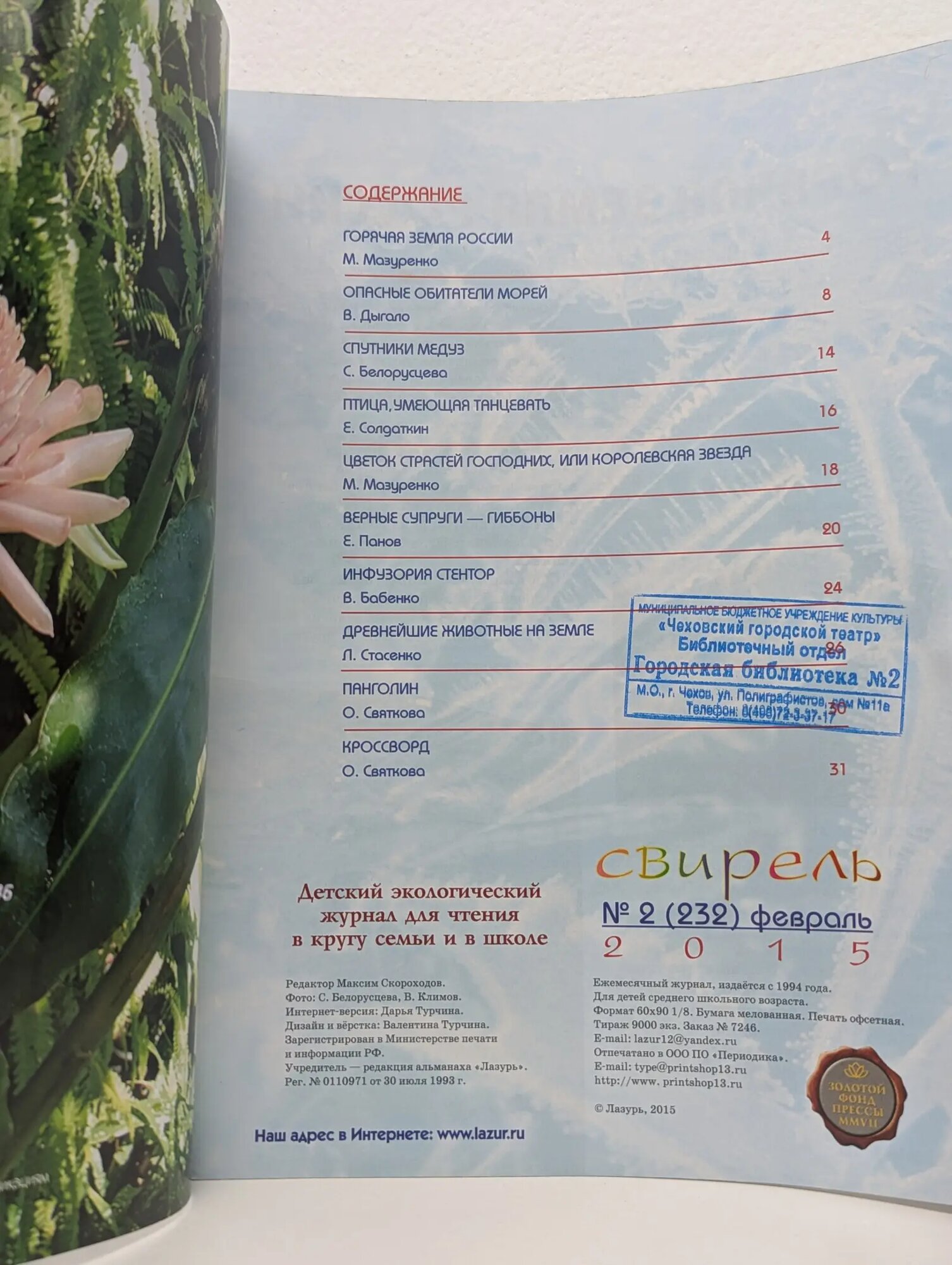 Свирель. Выпуск № 2/2015 Скороходов Максим (ред.) 2016 — фото 1