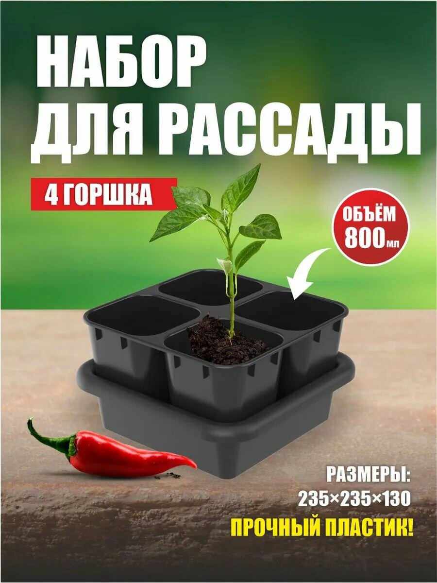 Набор для рассады 08л (1 кассета из 4-х стаканчиков с вкладышем + ящик) АП 118