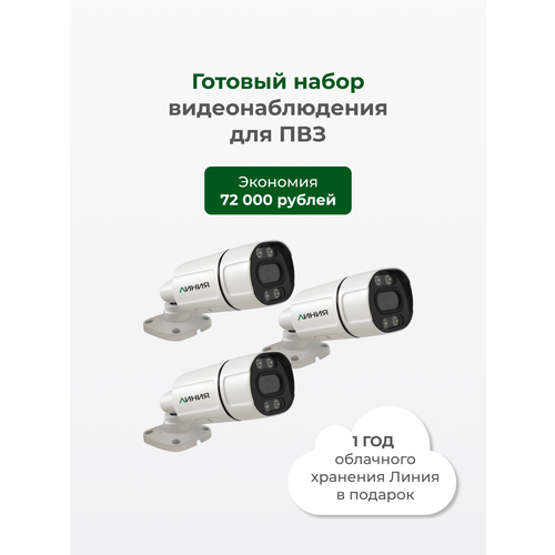 Видеонаблюдение для пунктов выдачи заказов / Готовый набор для ПВЗ / 3 IP-камеры с облачным хранением архива / Год облака в подарок