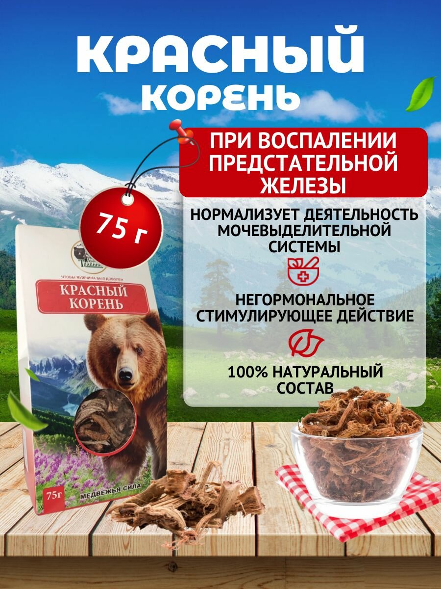 Красный корень, медвежий корень, чай при простатите, для повышения потенции, при анемии, болезнях ЖКТ и др, натуральное средство, фиточай Травы Алтая