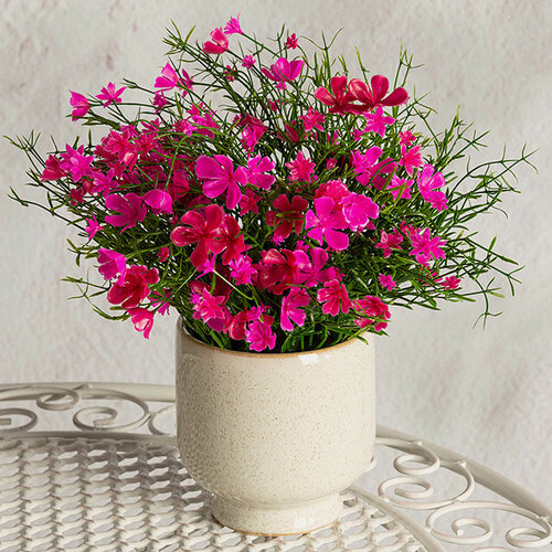 Изображение товара Искусственные цветы в горшке Флоксы розовые 23 см, Summer Deco, 5010068