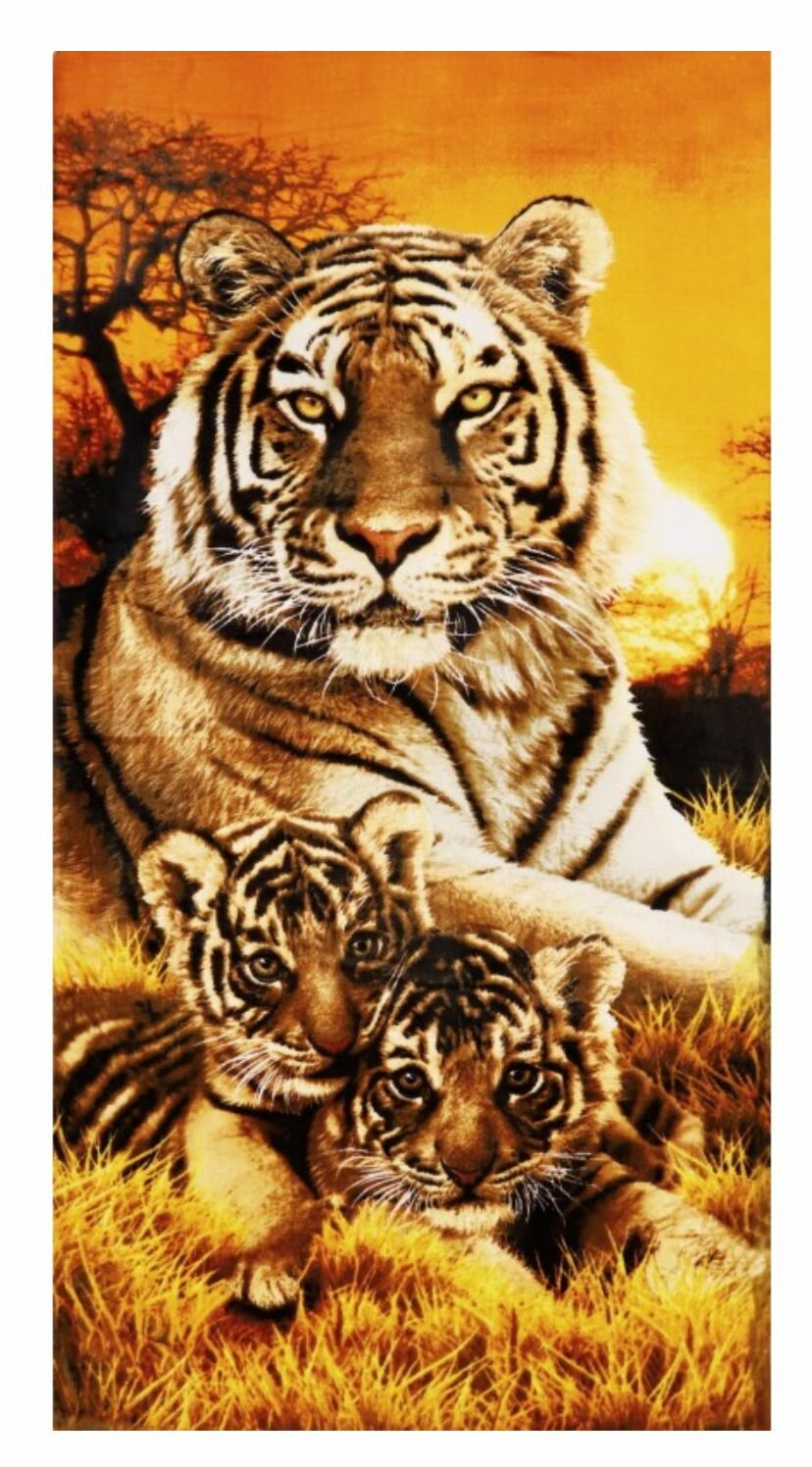 Полотенце большое пляжное, для бассейна, для ванны, для бани и сауны, для спорта, в подарок махрово-велюровое Тигрица с тигрятами 100х180 см