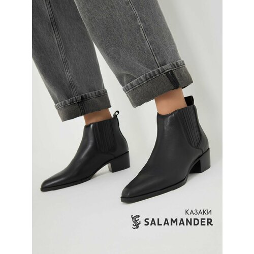 SALAMANDER 126-1702A-20608