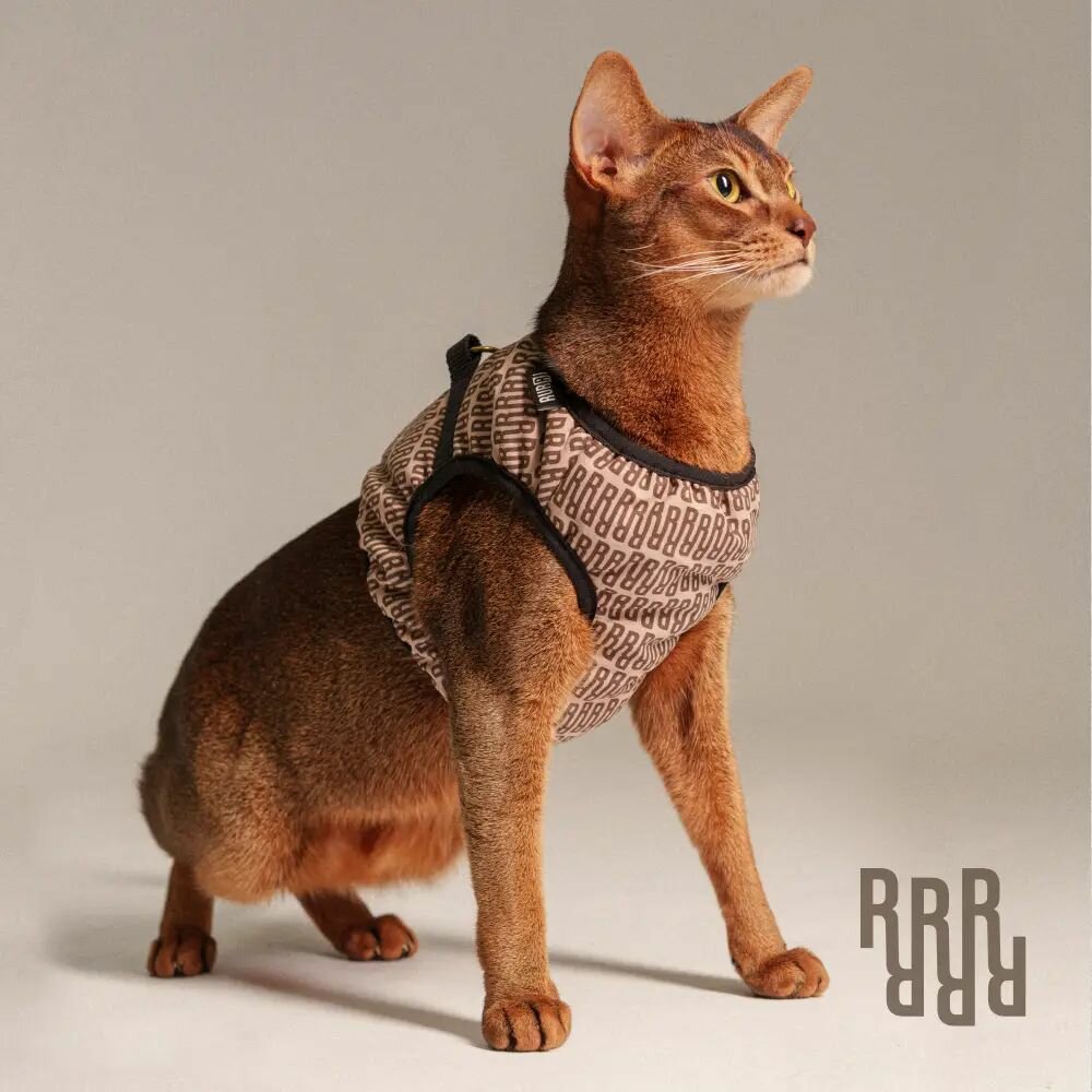 RURRI Шлейка-Жилетка Империал для кошек и собак мелких пород обхват груди 32-35 см обхват шеи 22-24 см коричневый