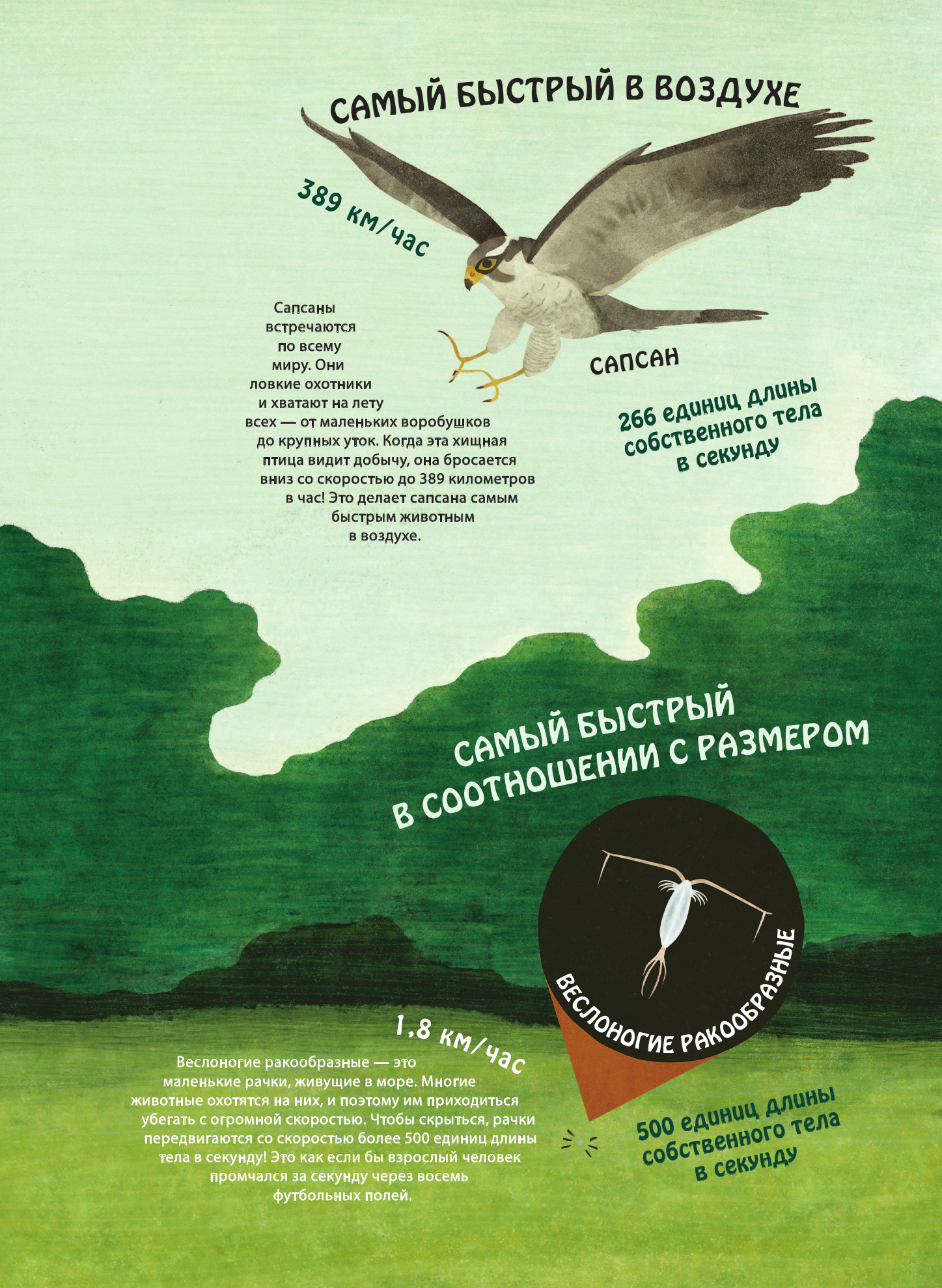 Книга рекордов животных. Увлекательный мир открытий и необычных фактов о животных в иллюстрациях - фото №10