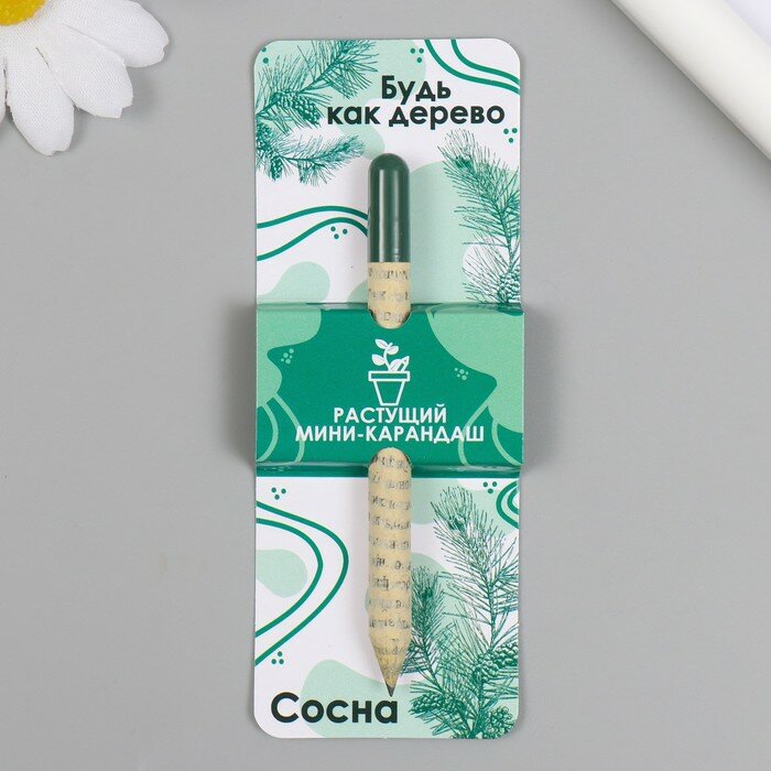 фото Растущие карандаши mini Будь как дерево "Сосна"