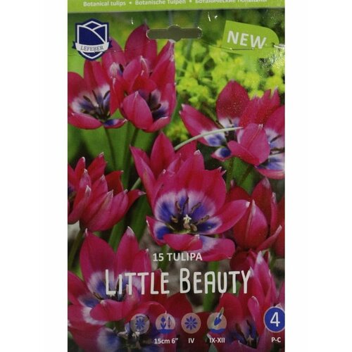 Тюльпан Литтл Бьюти(Little Beauty), 15 шт