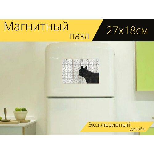 Магнитный пазл Собака, бульдог, французский бульдог на холодильник 27 x 18 см.