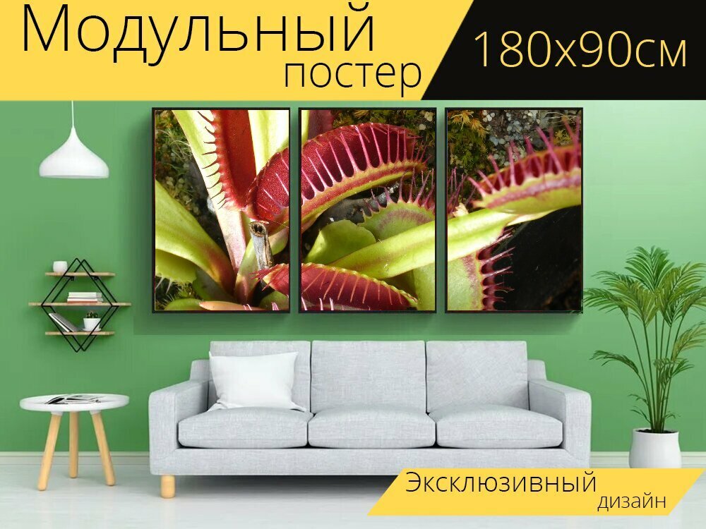 Модульный постер "Венерина мухоловка плотоядный завод" 180 x 90 см. для интерьера