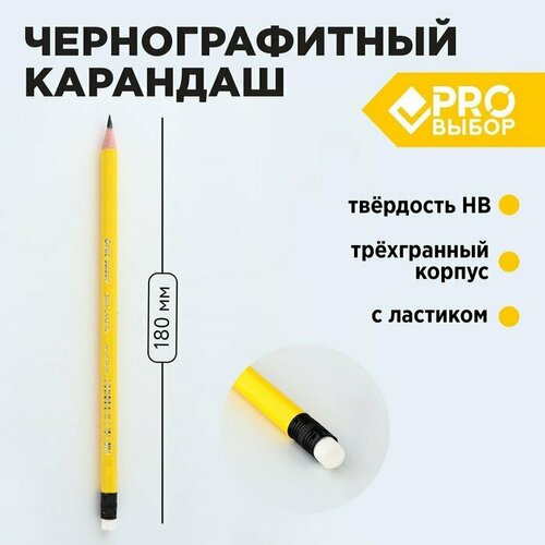 Карандаш простой чернографитный НВ с ластиком PROвыбор «Градиент» (комплект из 144 шт)