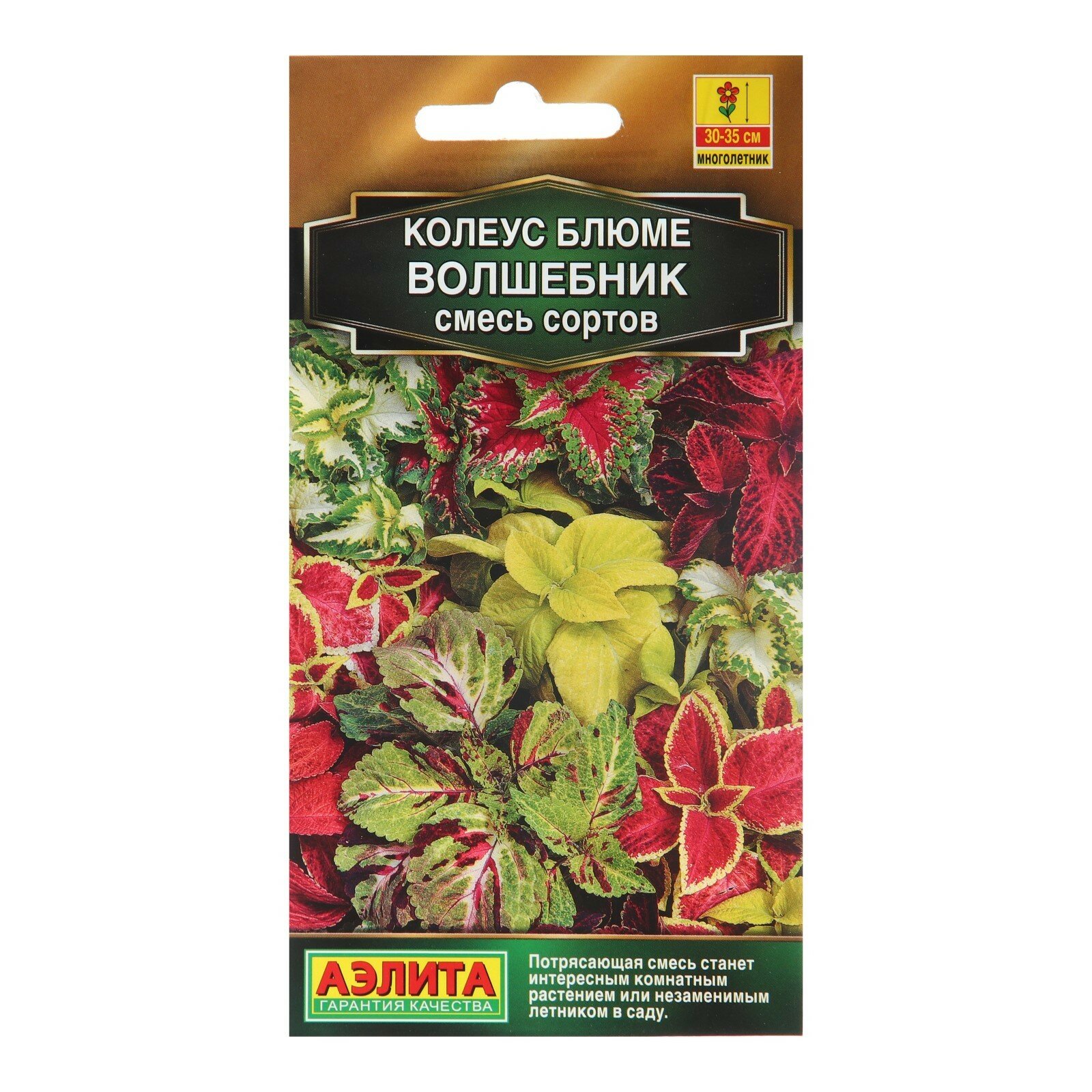 Семена Колеус «Волшебник» смесь сортов 5 шт.