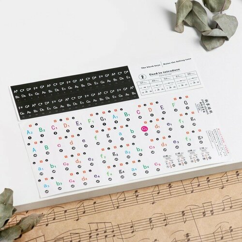 Цветные наклейки на клавиши пианино 519₽