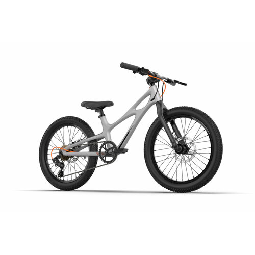 Велосипед детский Royal Baby Space Shuttle 20 3-spd 20 серый 6500000₽