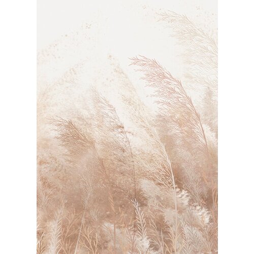 Моющиеся виниловые фотообои GrandPiK Трава на ветру фон сепия, 200х280 см