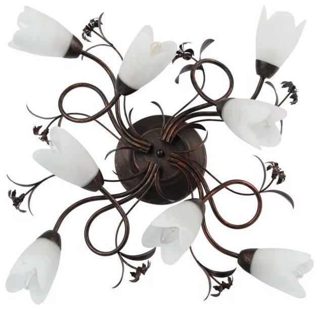 фото Люстра MW-Light Аида 323013708, E14