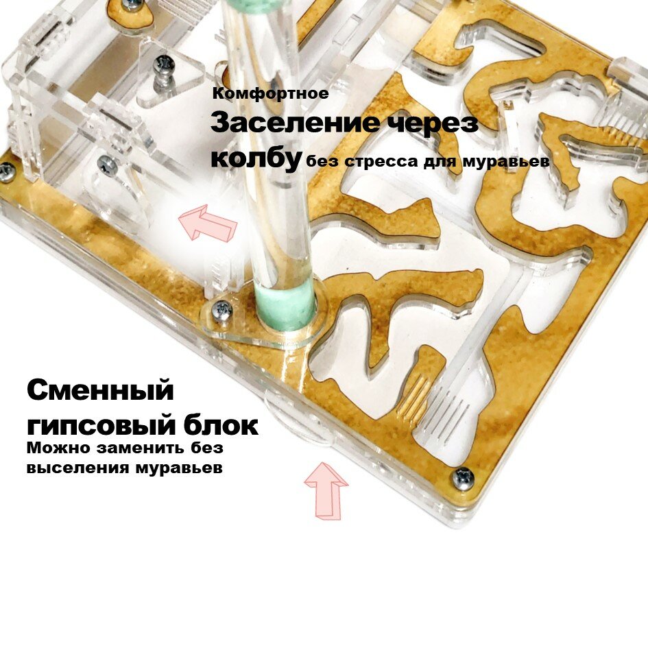 Стартовая муравьиная ферма 16х14 Песок - фотография № 4