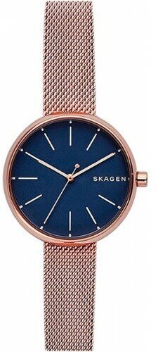 Наручные часы SKAGEN Signatur SKW2593