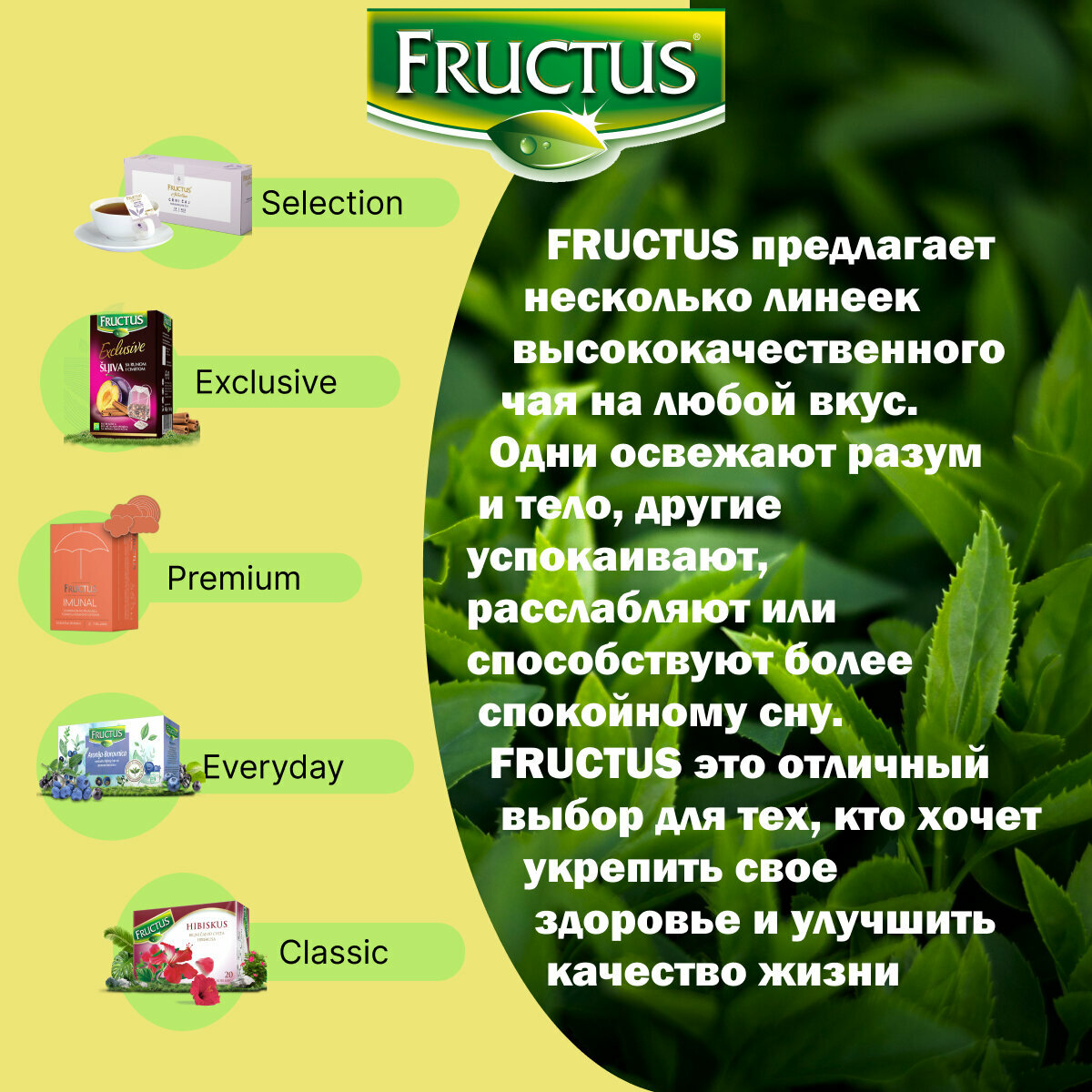 Чай в пакетиках FRUCTUS (Фруктус) Classic Hibiscus травяной из цветков гибискуса, Сербия, 20 шт - фотография № 3