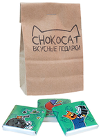 Шоколад CHOKOCAT FunCat "кот-менеджер" молочный порционный, 50 г