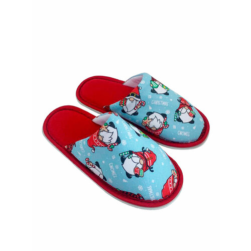 фото Тапочки ivshoes с-6жм-мр, текстиль, размер 36-37, голубой, красный