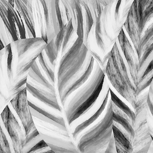 Моющиеся виниловые фотообои Фон банановые листья черно-белые, 250х250 см