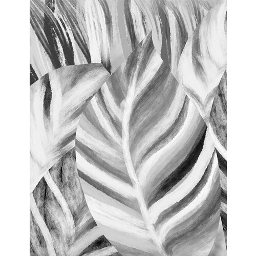 Моющиеся виниловые фотообои Фон банановые листья черно-белые, 200х260 см