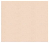 Цветной картон для паспарту Mi-Teintes Canson, 80х120 см, 5 л.