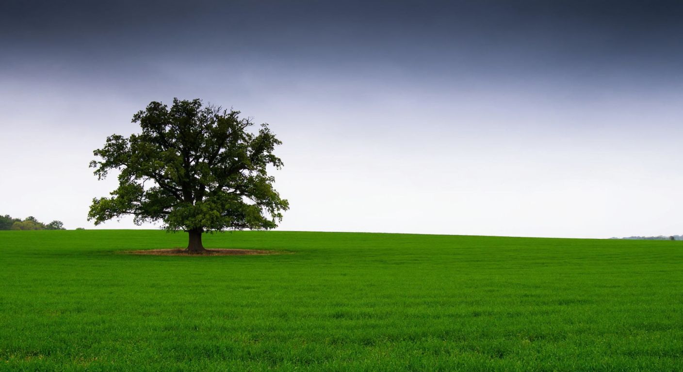 A lone, sturdy oak tree standing tall in a vast green field, symbolizing the prime number 197 as a singular, indivisible entity.