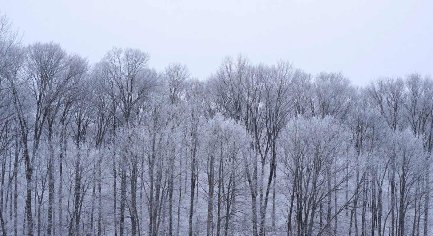 A snow-covered forest with bare, leafless trees standing still under a pale winter sky, their branches dusted with frost, conveying quiet dormancy and resilience.