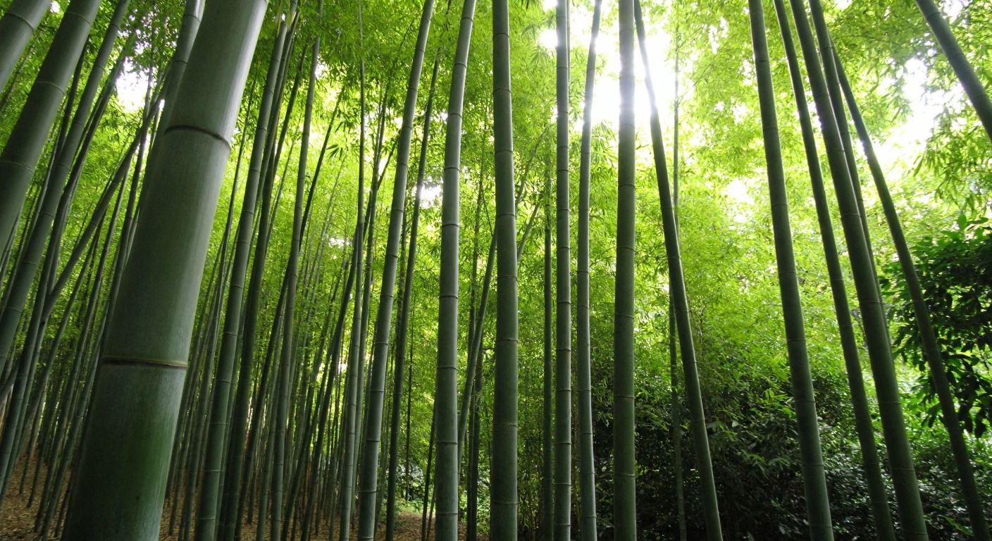 A serene bamboo garden with tall green stalks swaying gently in the breeze, surrounded by lush foliage and dappled sunlight filtering through the leaves, evoking a peaceful and natural retreat.