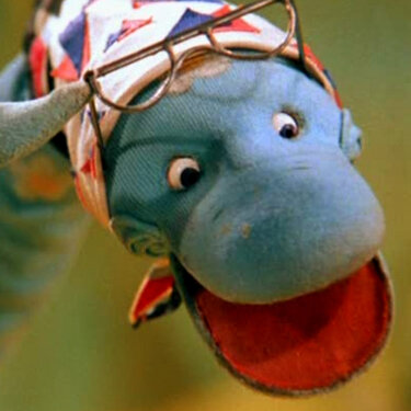 Порно 38 попугая