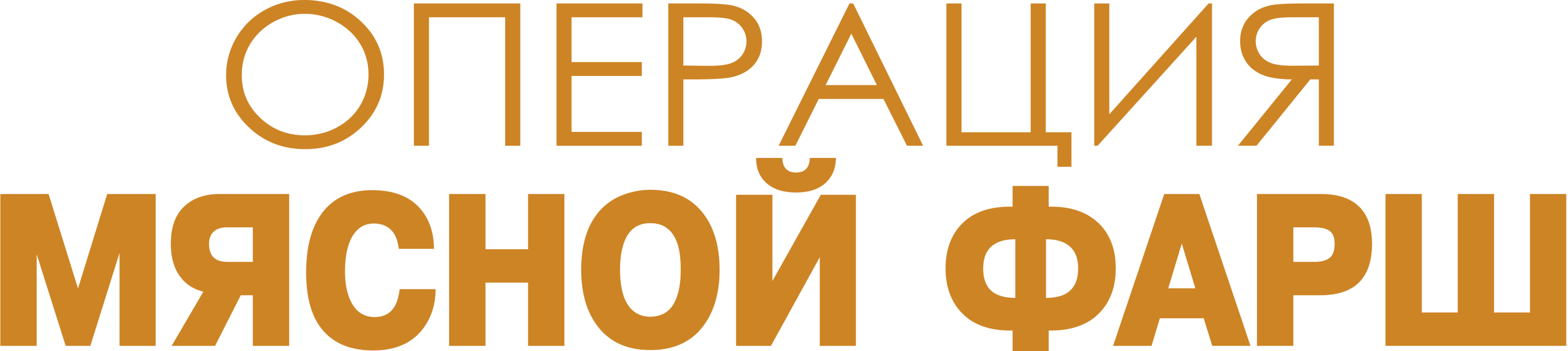 Операция «Мясной фарш»