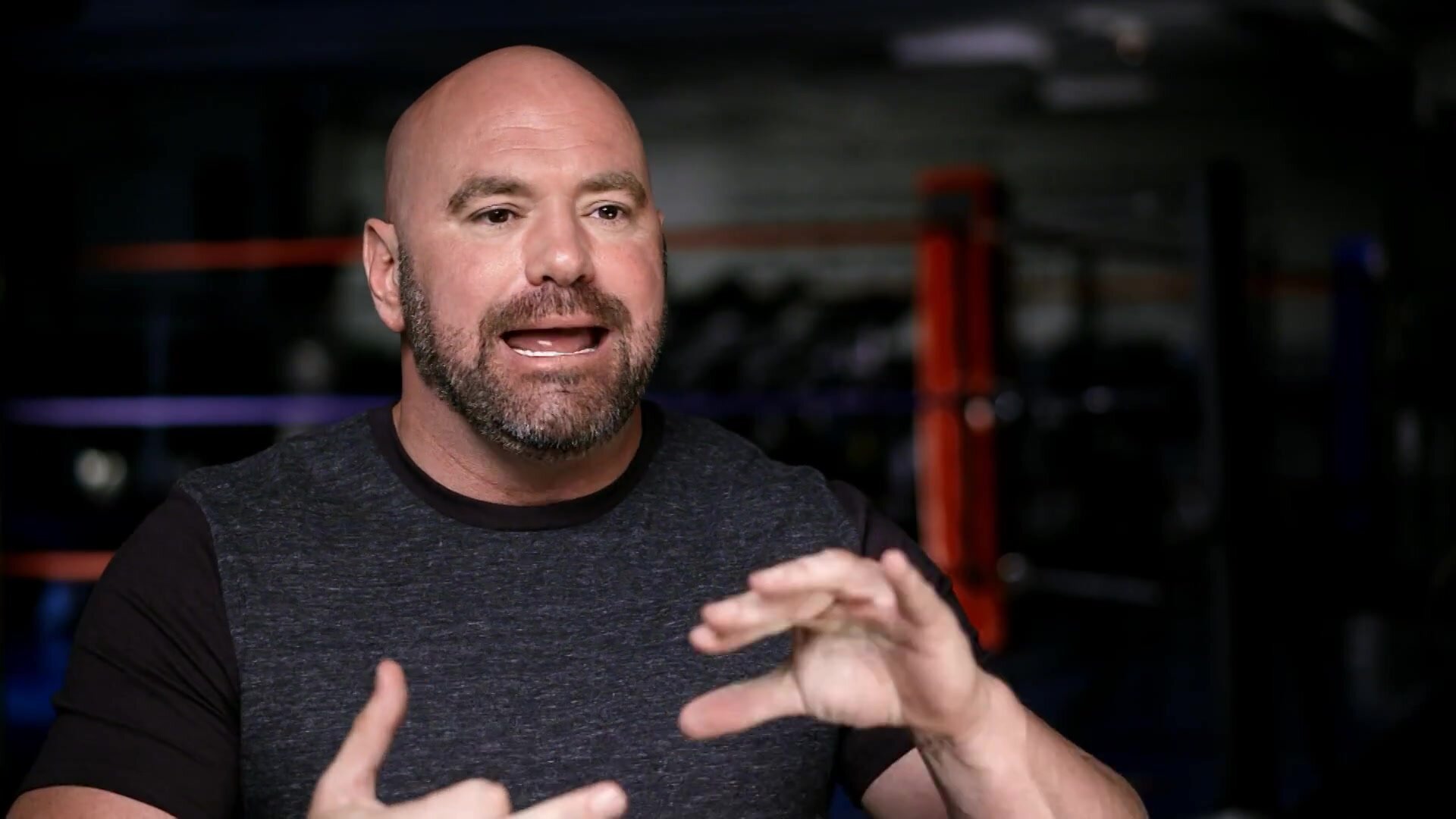 The Ultimate Fighter — серия 10