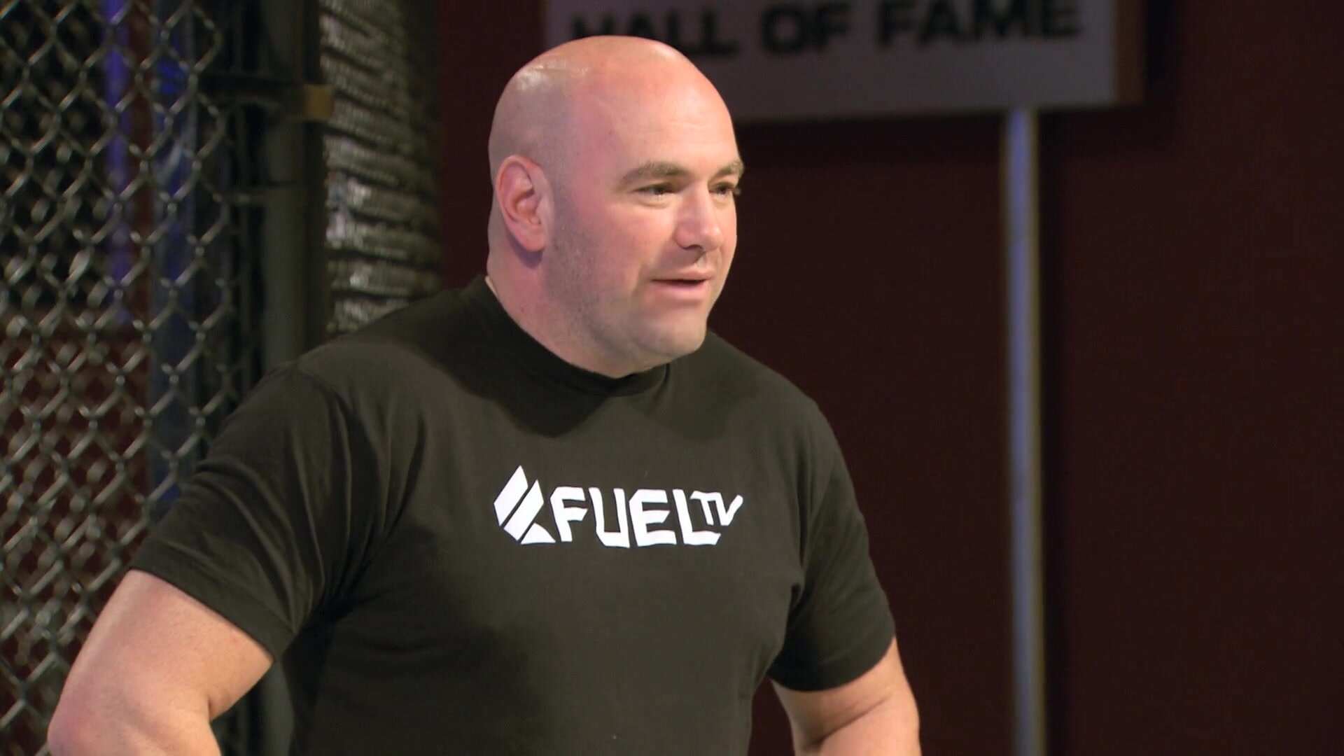 The Ultimate Fighter — серия 4