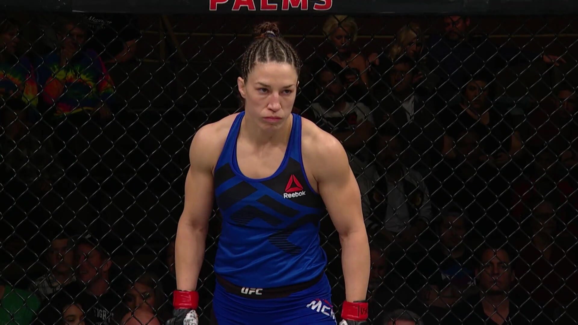 The Ultimate Fighter — серия 13