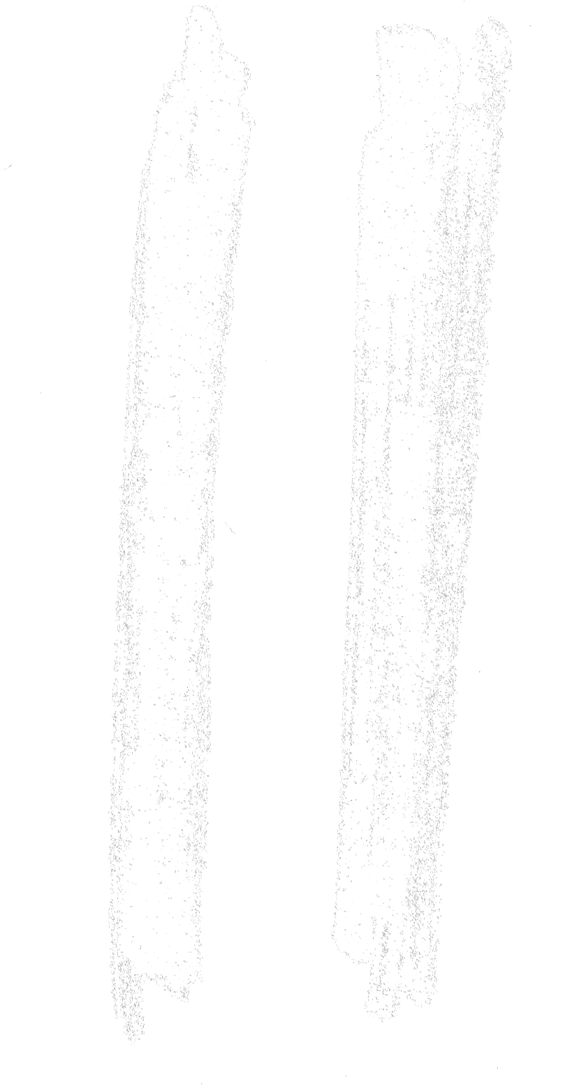 II/Два