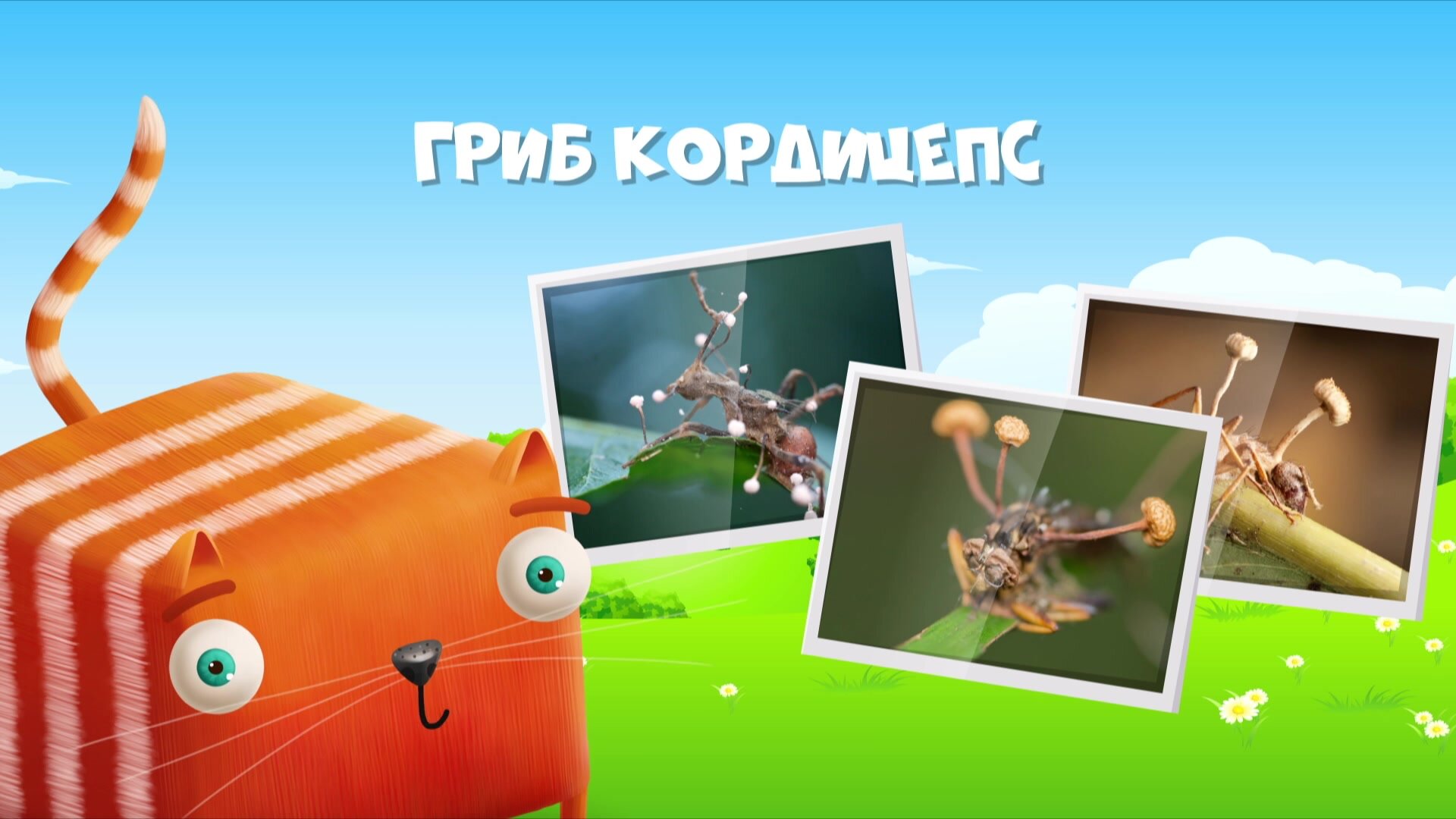 Развлечёба — серия 111