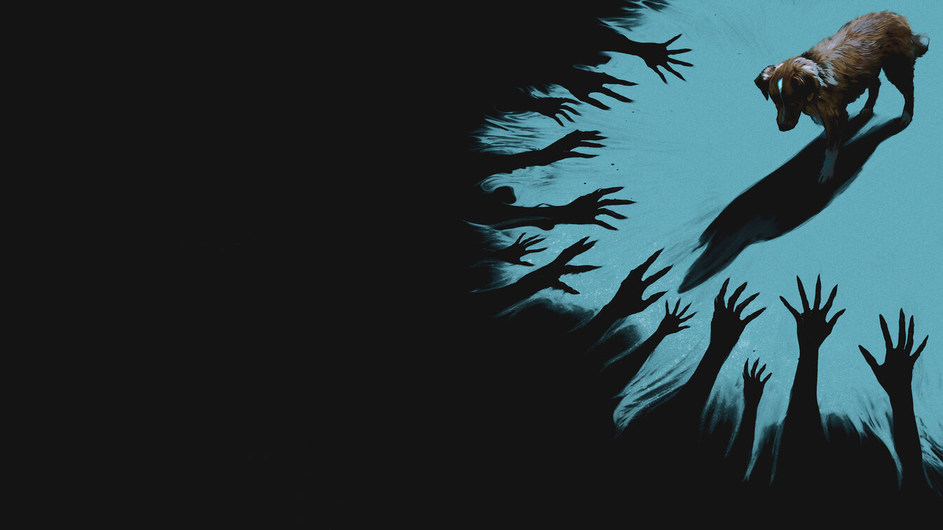 Глазами пса