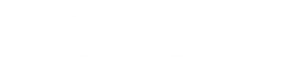 Ультиматум Борна
