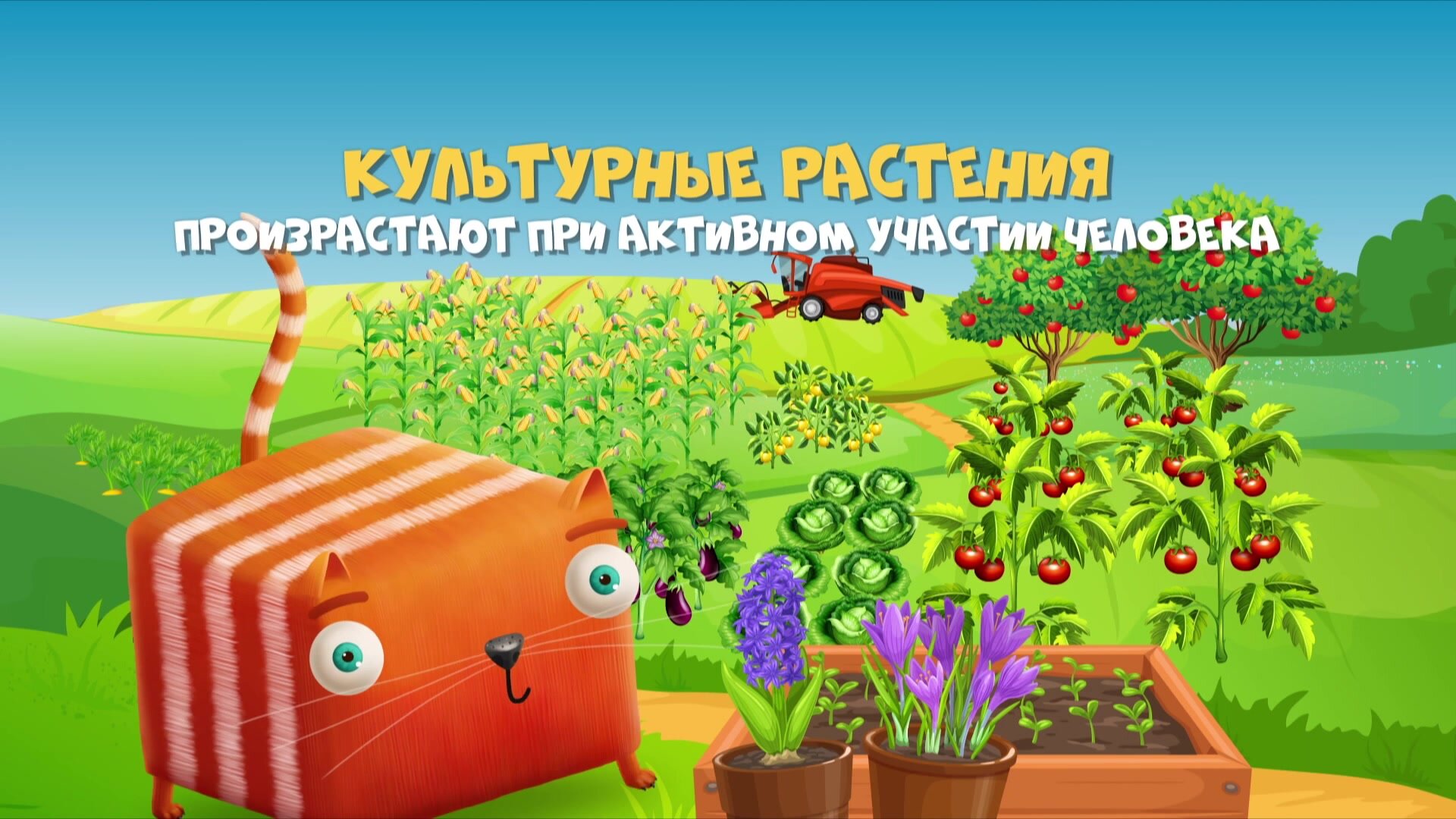 Развлечёба — серия 156