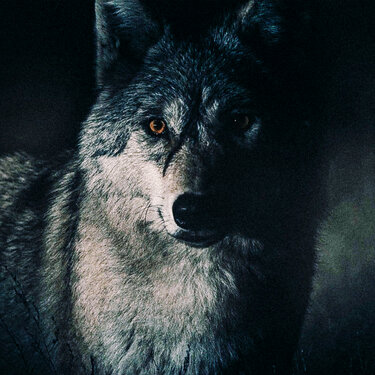 Старик, 2012 — Смотреть Фильм Онлайн В Хорошем Качестве На Русском.