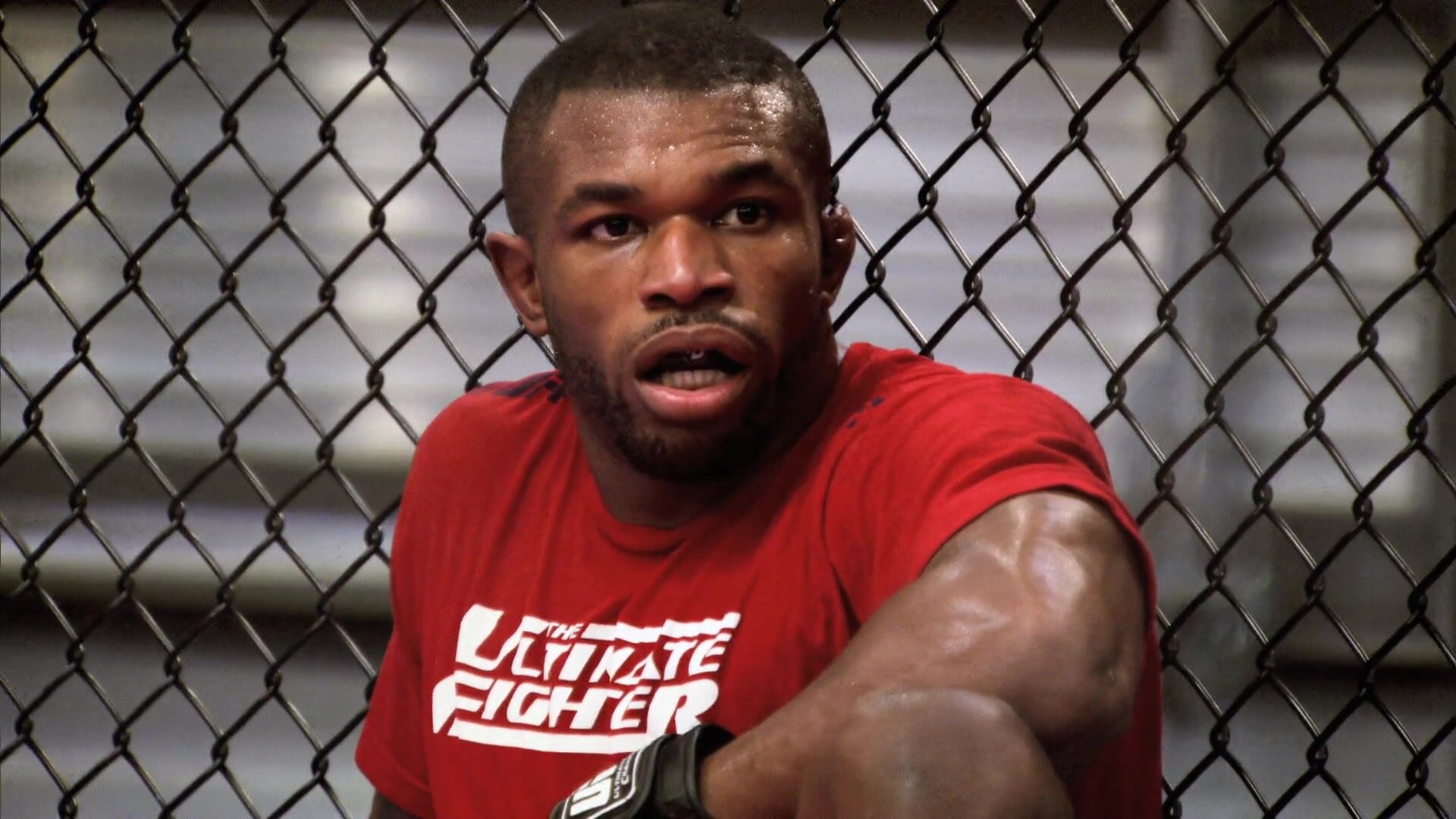 The Ultimate Fighter — серия 2