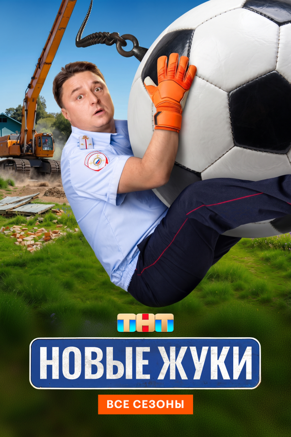 Жуки