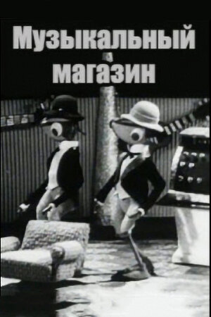 Музыкальный магазин